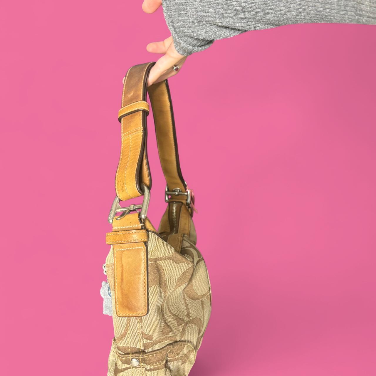 Coach Bag 24