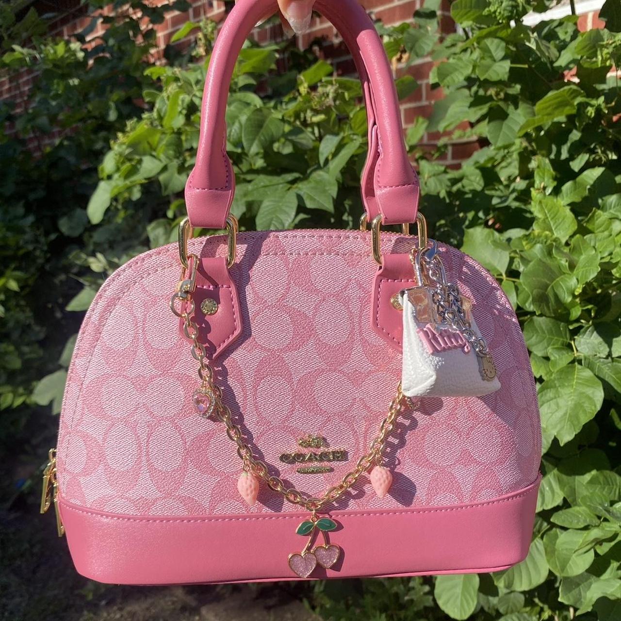 Coach Bag 48