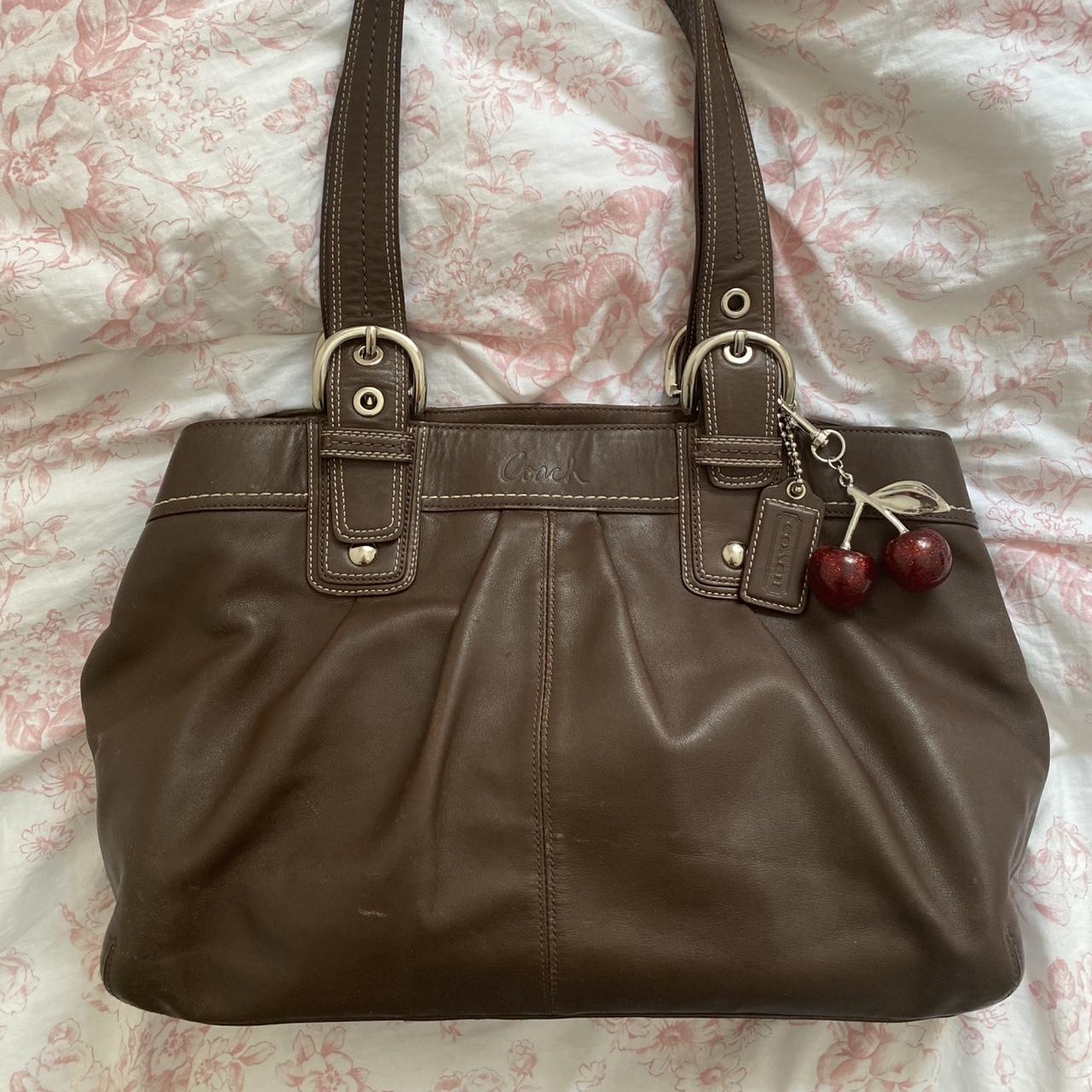 Coach Bag 22