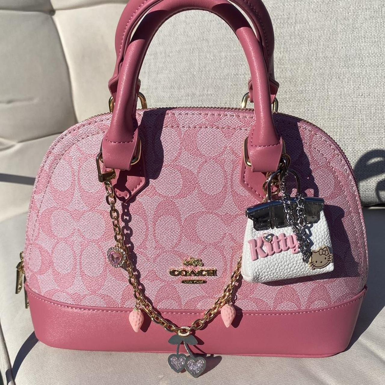 Coach Bag 48