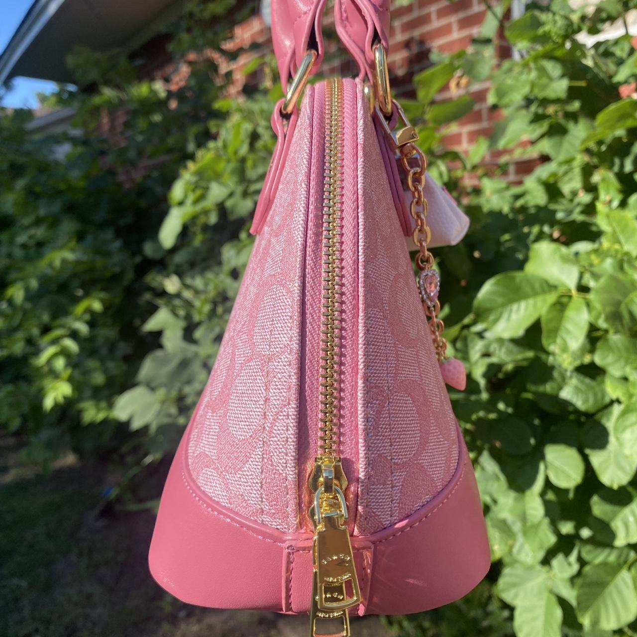 Coach Bag 48