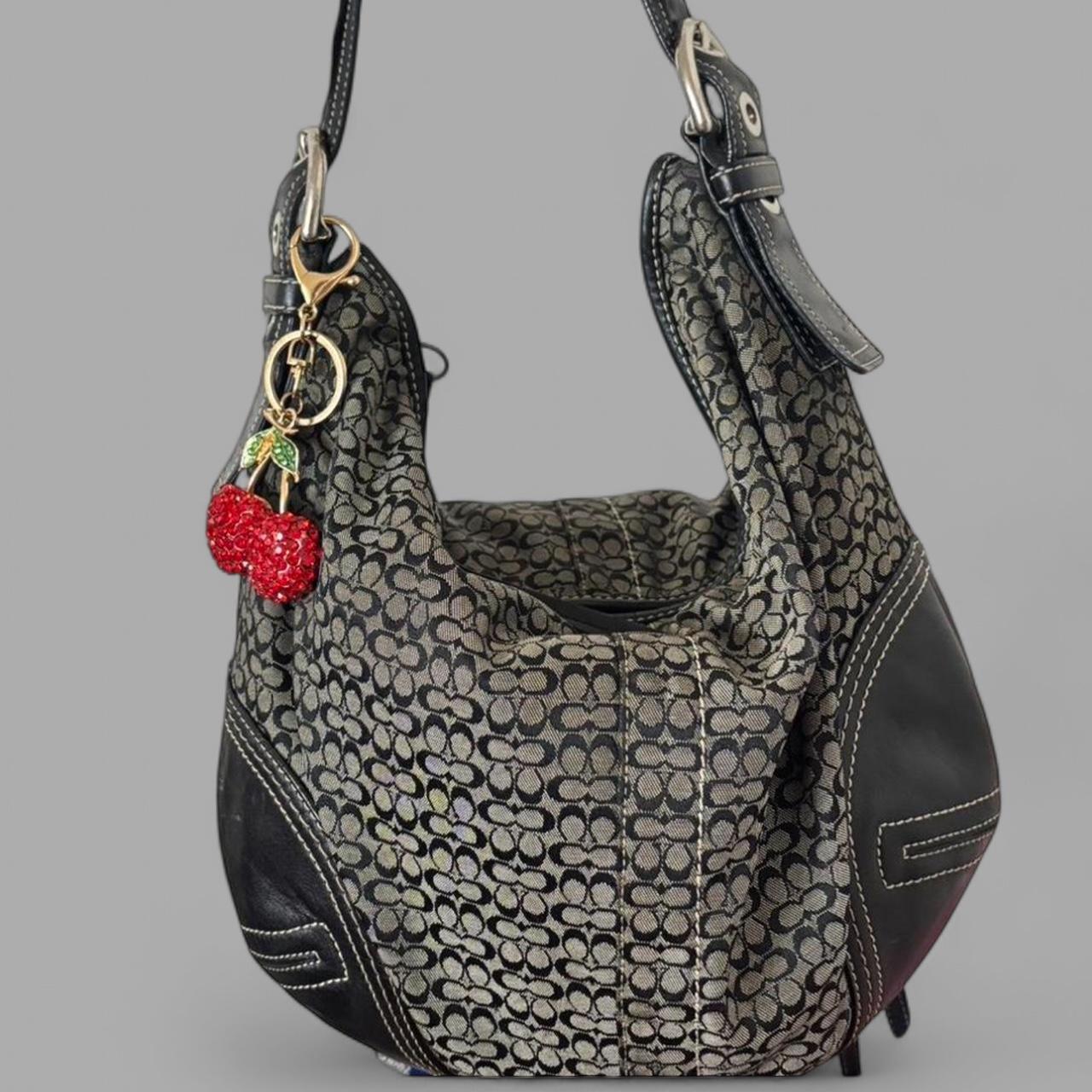 Coach Bag 56