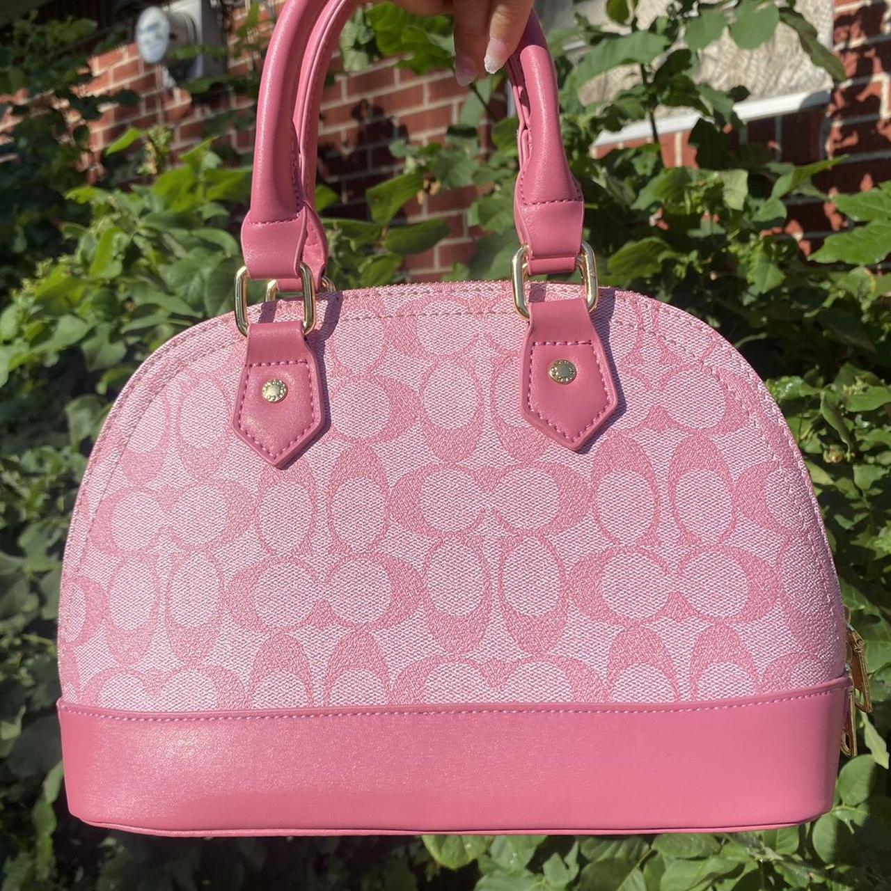 Coach Bag 48