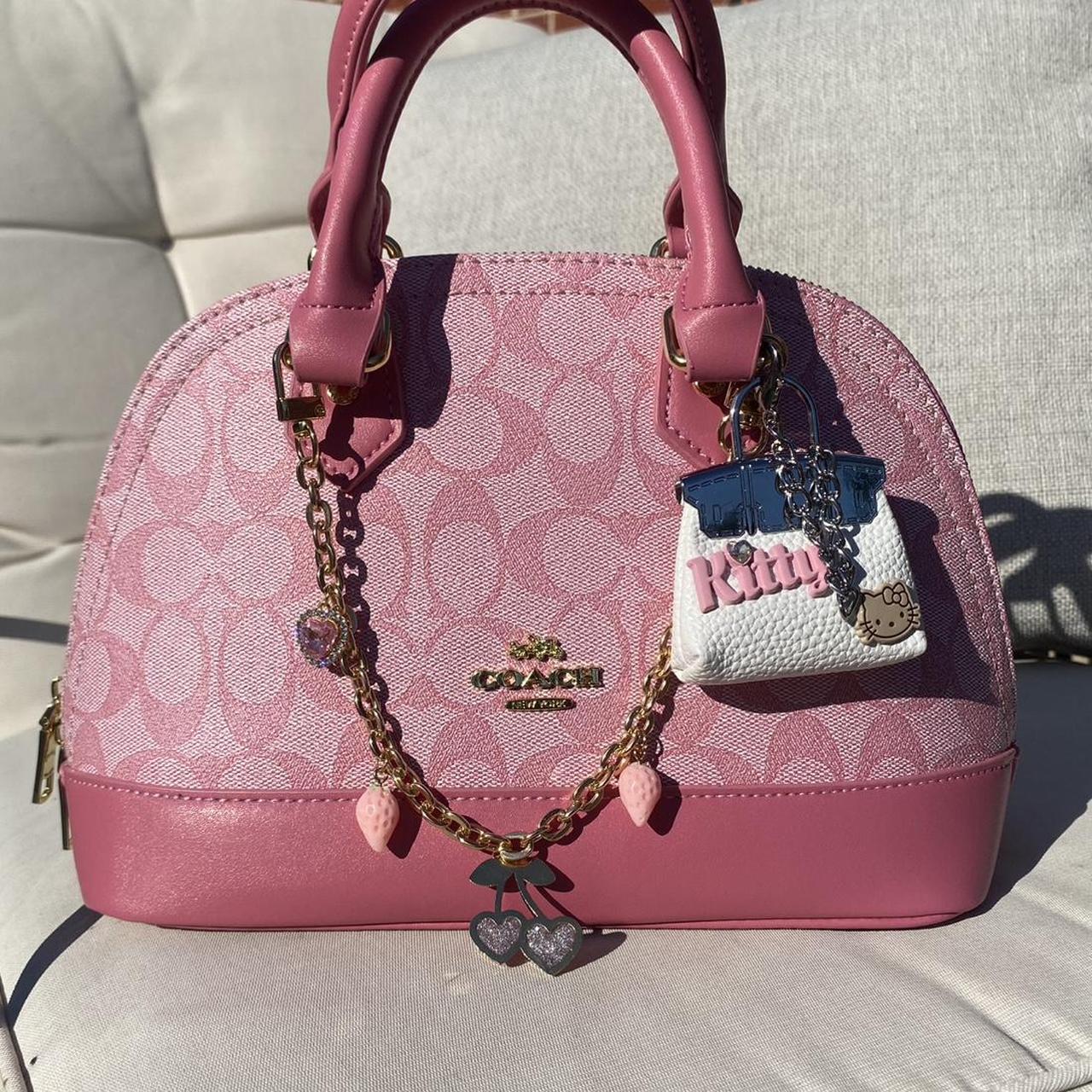 Coach Bag 48