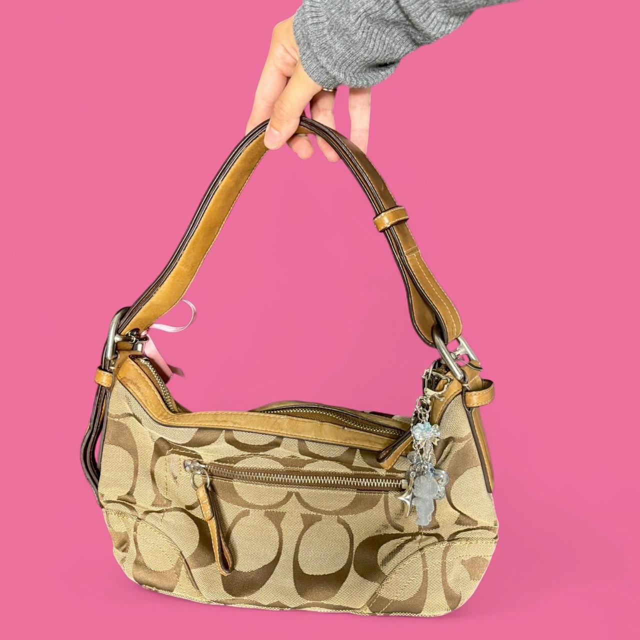 Coach Bag 24