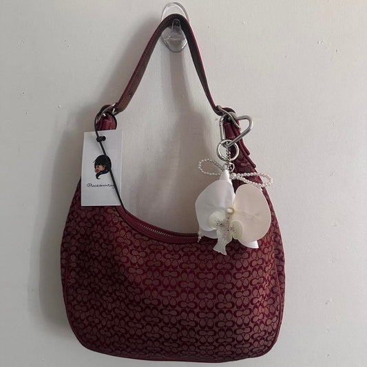 Coach Bag 14