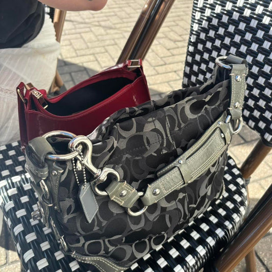Coach Bag 58