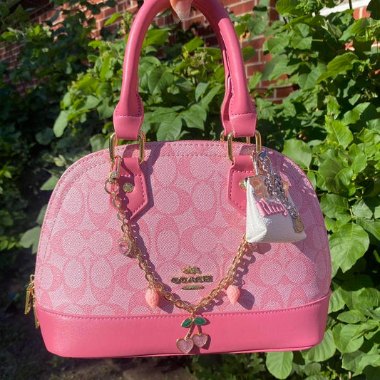 Coach Bag 48