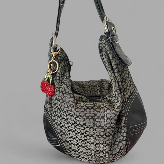 Coach Bag 56
