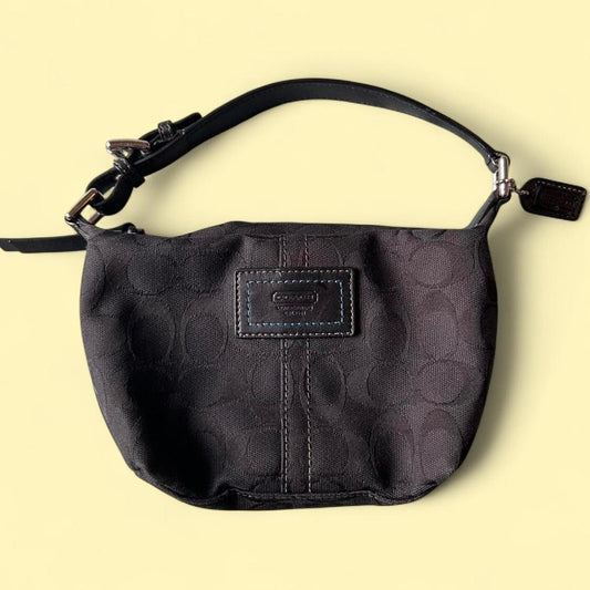 Coach Bag 17