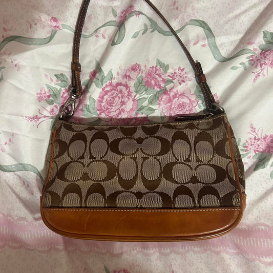 Coach Bag 41