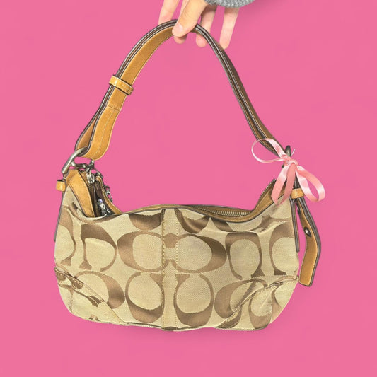 Coach Bag 24