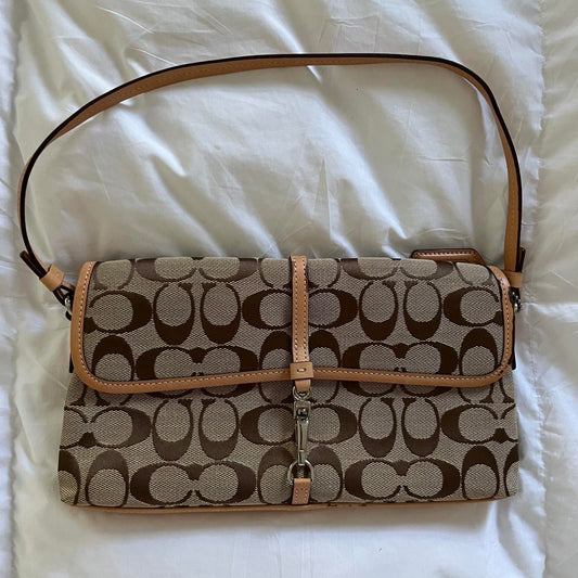 Coach Bag 31