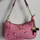 Coach Bag 54