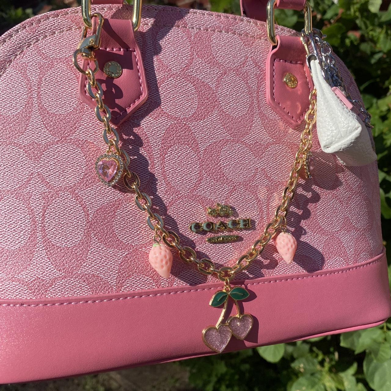 Coach Bag 48