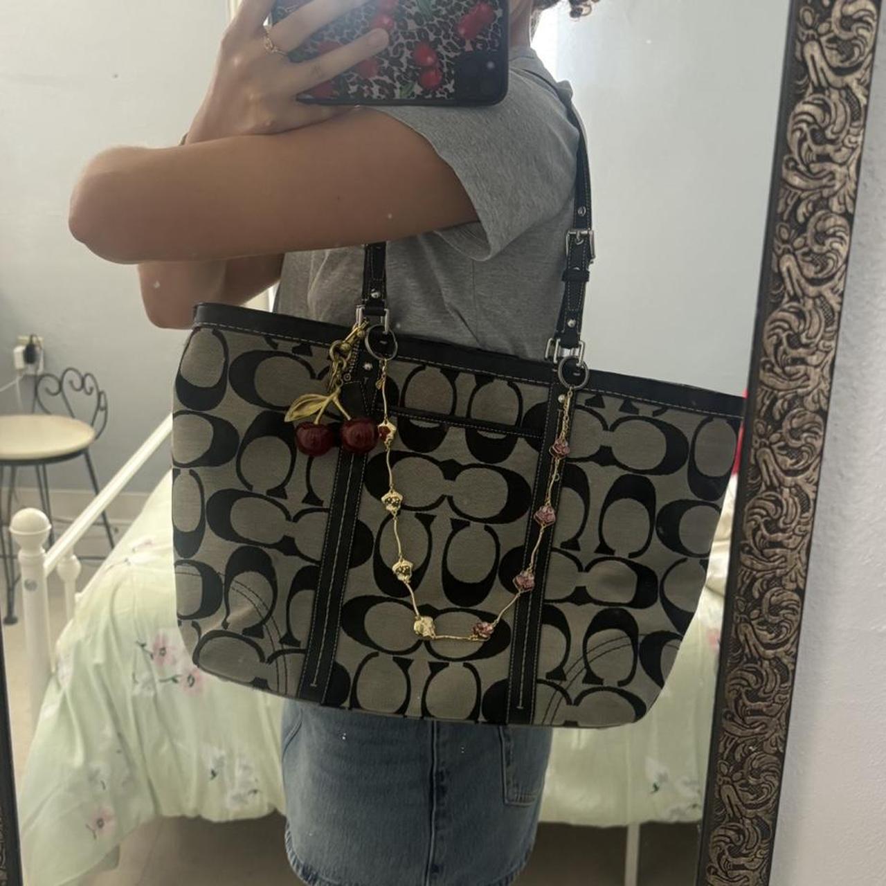 Coach Bag 2