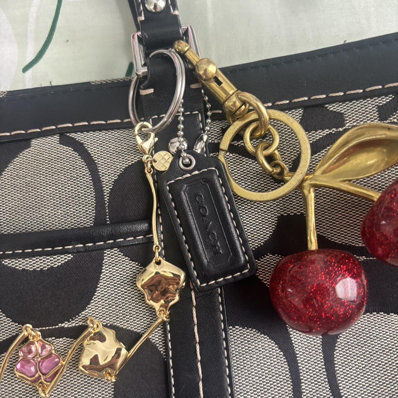Coach Bag 2