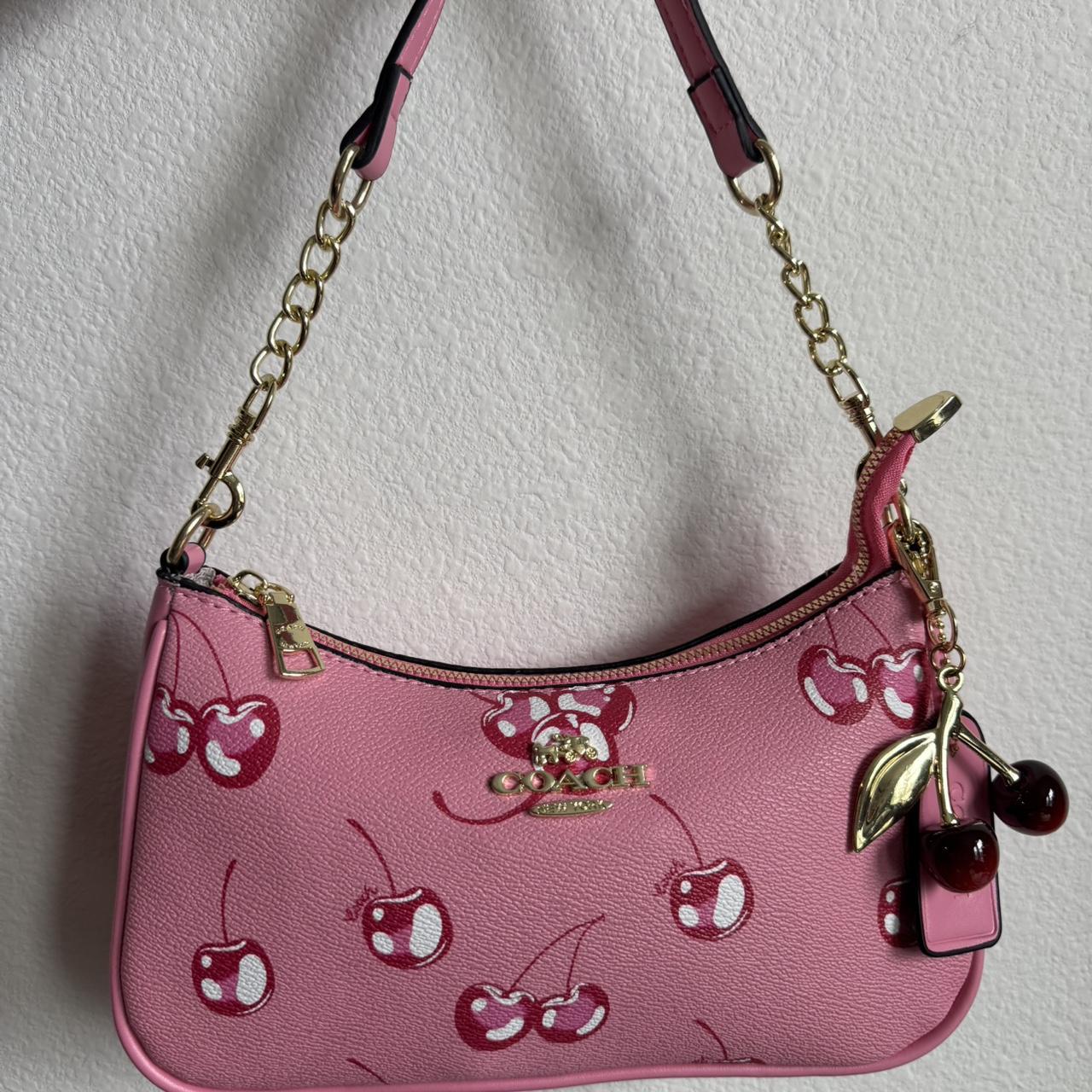 Coach Bag 54