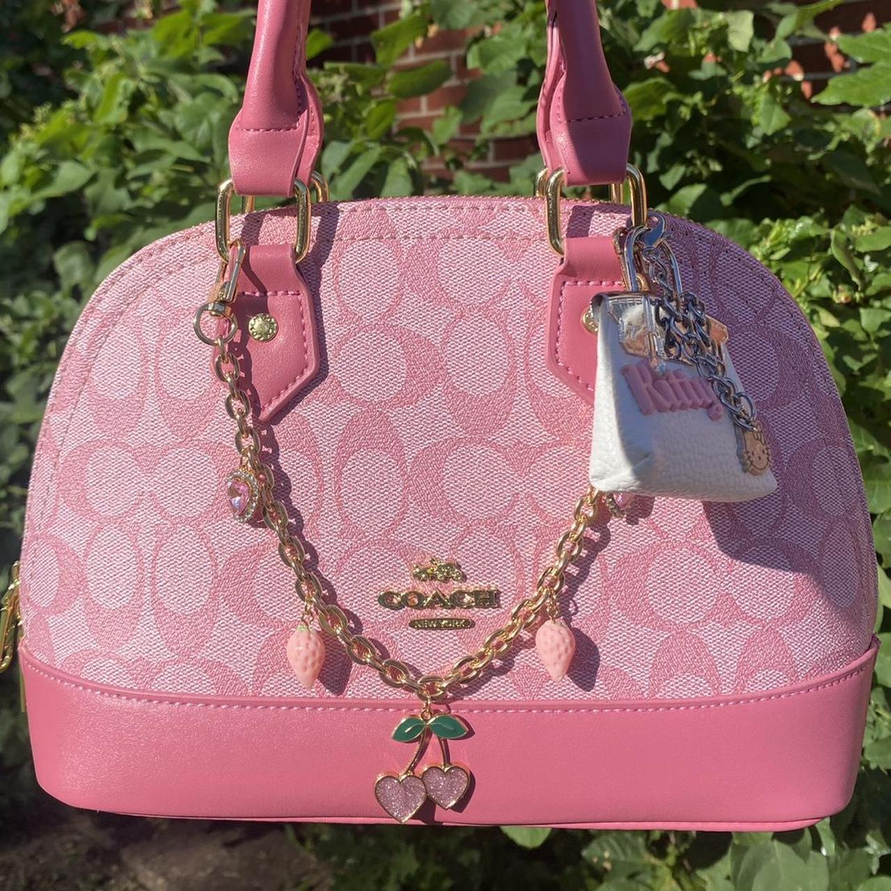 Coach Bag 48