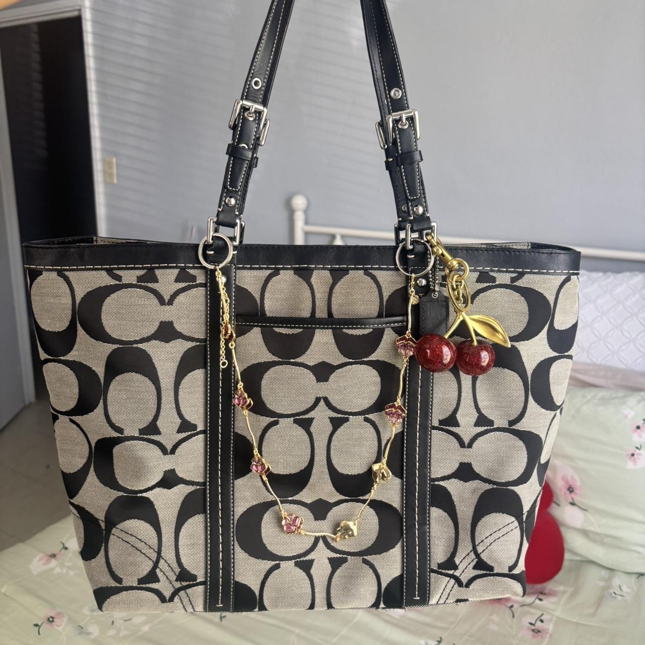 Coach Bag 2